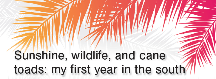 Sunshine, Wildlife, and Cane Toads: My First Year in the South